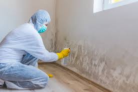 Why You Should Choose Our Mold Remediation Services in West Hills, PA